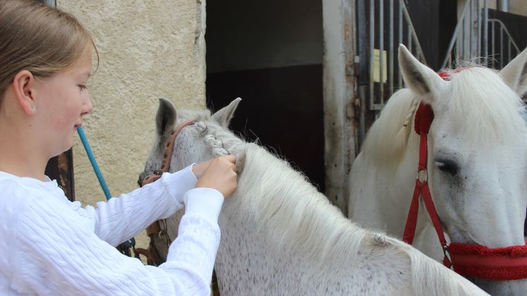 EQUITATION - SOIN DU CHEVAL ET PLAGE - (11/17 ans)